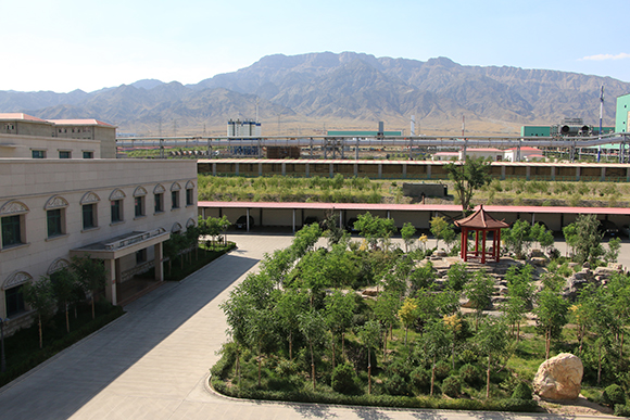 廠區(qū)環(huán)境